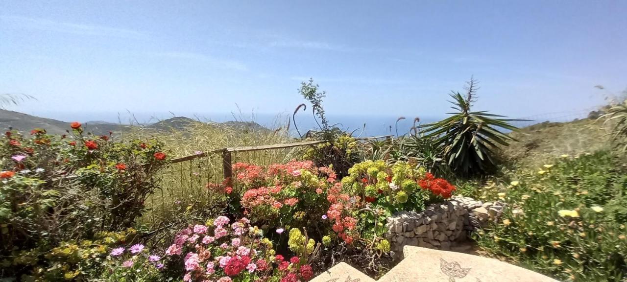 Finca Mariposa Mariposaholidays Nerja Eksteriør bilde