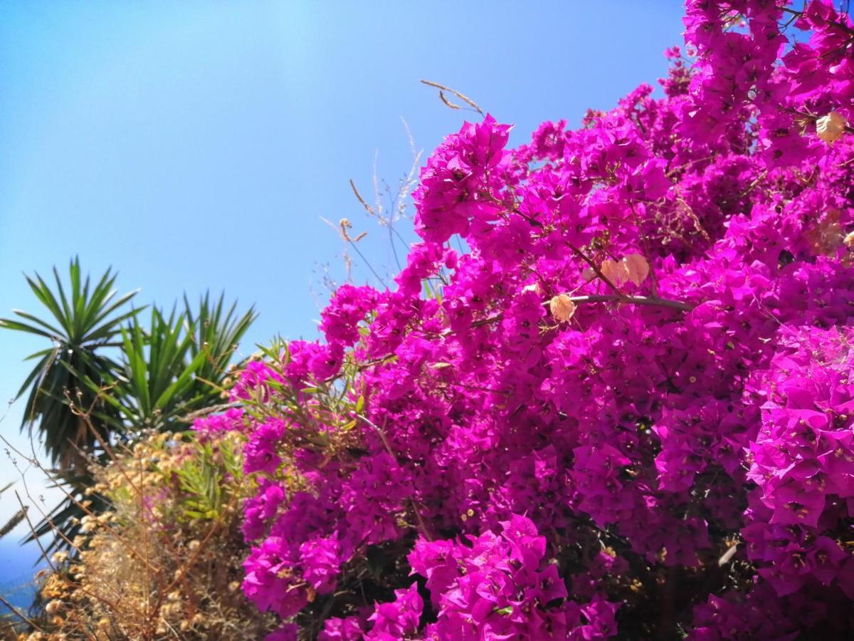 Finca Mariposa Mariposaholidays Nerja Eksteriør bilde