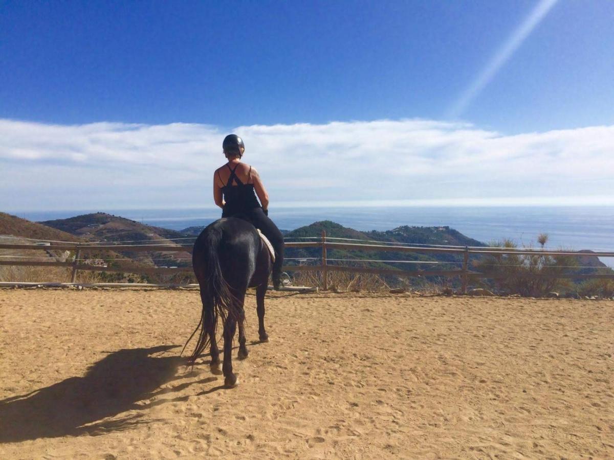 Finca Mariposa Mariposaholidays Nerja Eksteriør bilde